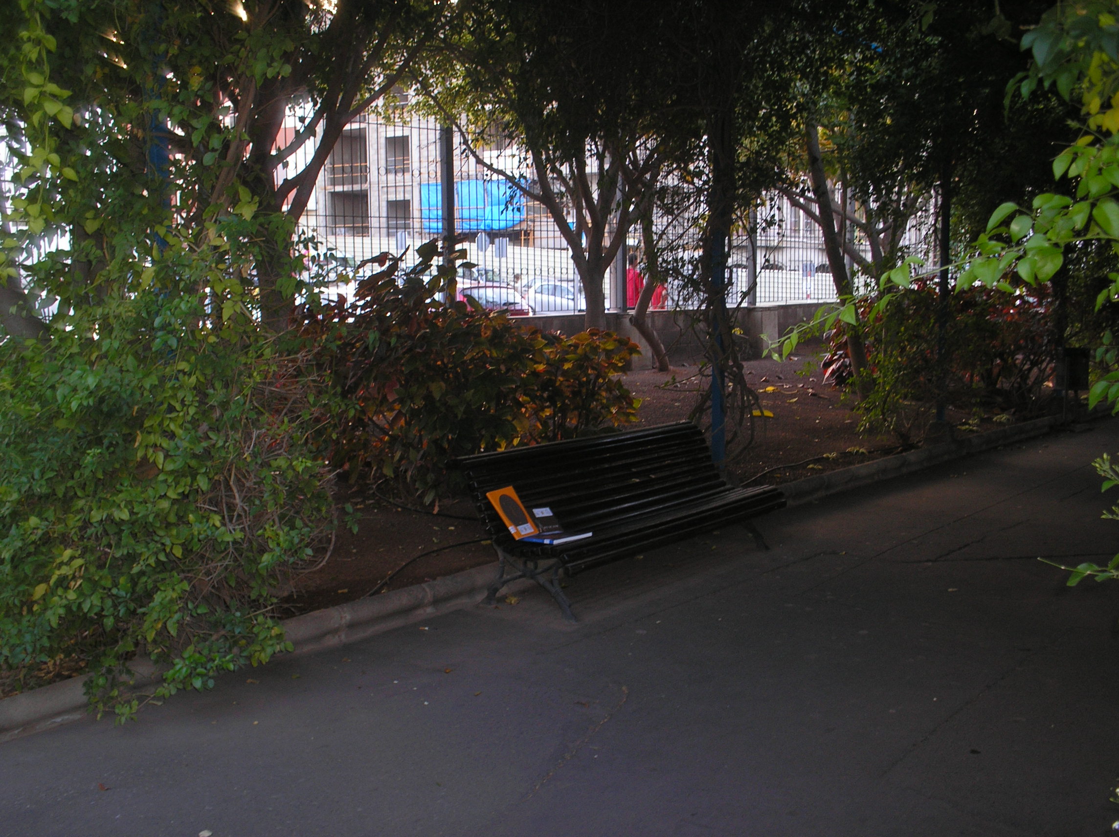 12. Fuga de libros: Bookcrossing