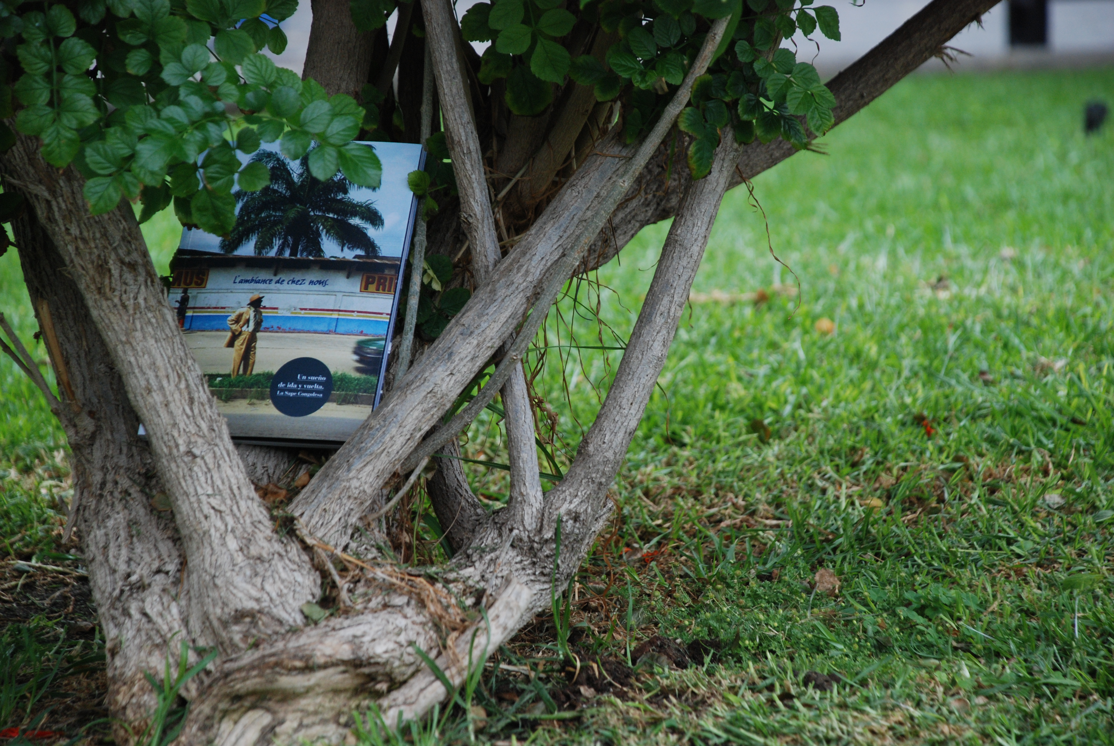 1. Imágenes de la campaña Bookcrossing, África Vive 2011