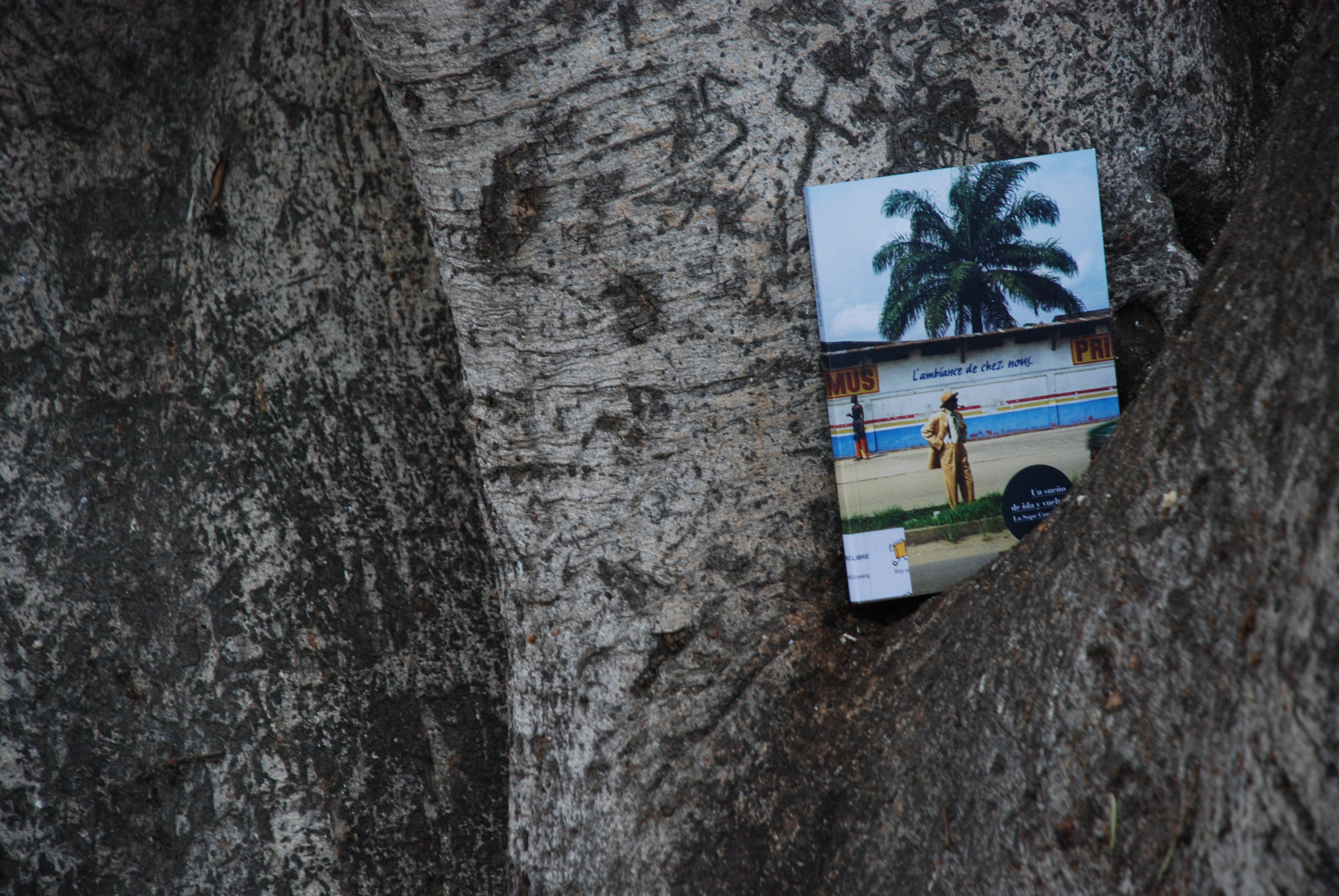 2. Imágenes de la campaña Bookcrossing, África Vive 2011