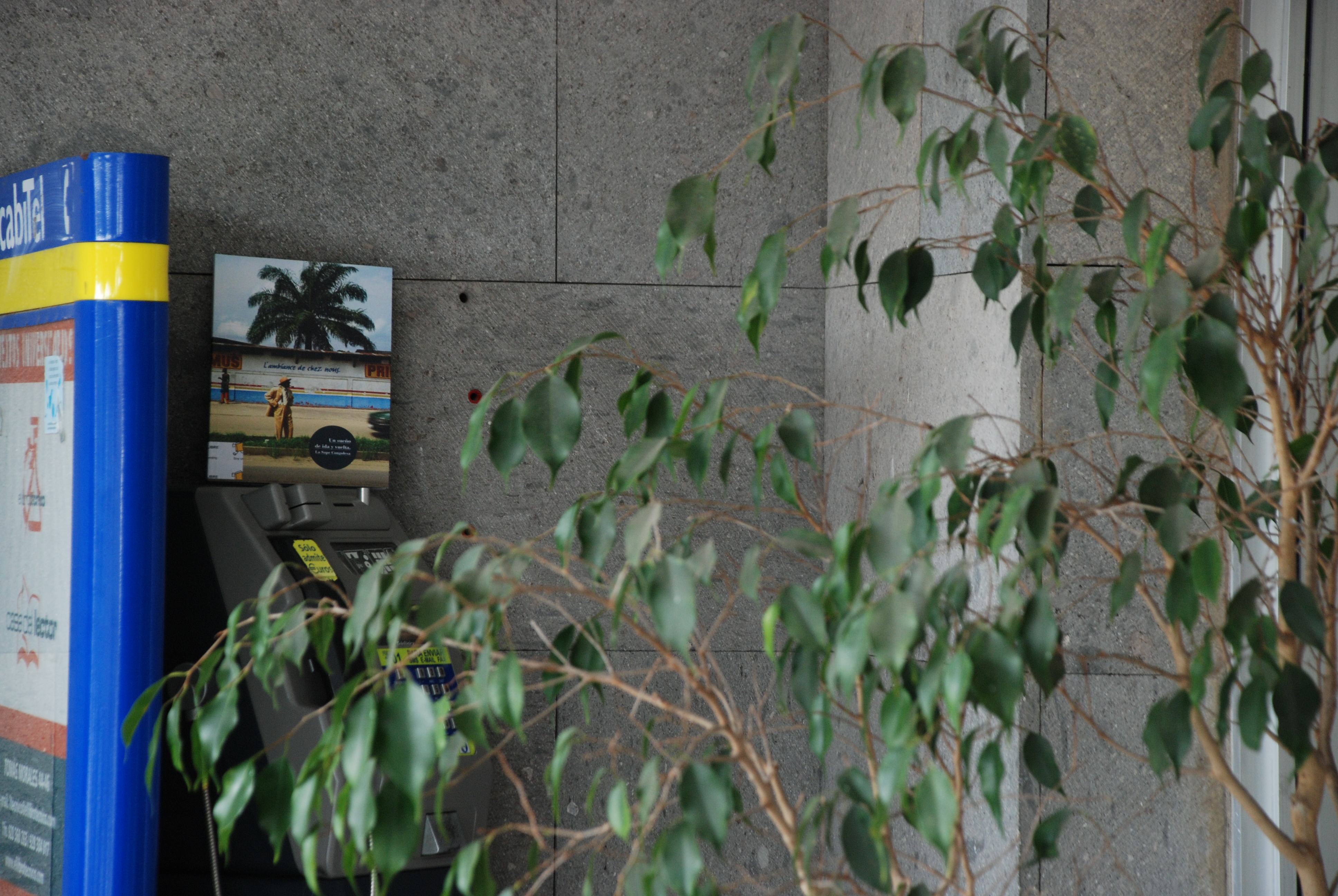 5. Imágenes de la campaña Bookcrossing, África Vive 2011