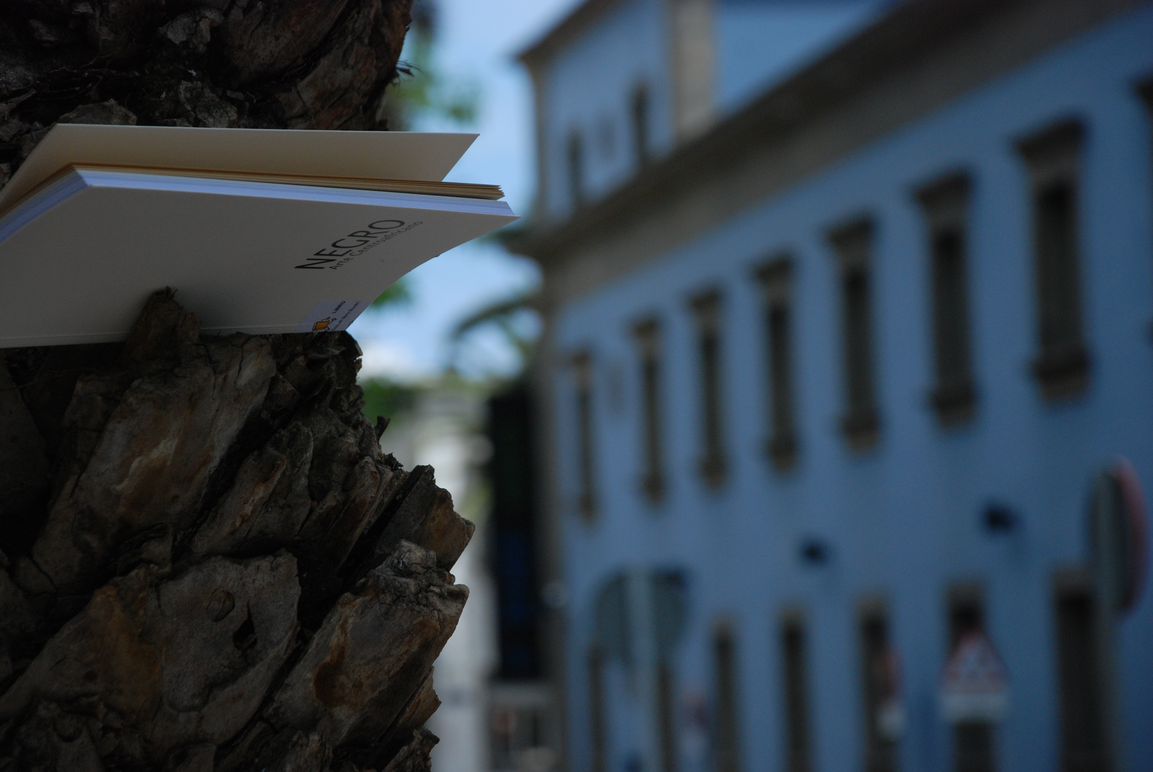 9. Imágenes de la campaña Bookcrossing, África Vive 2011