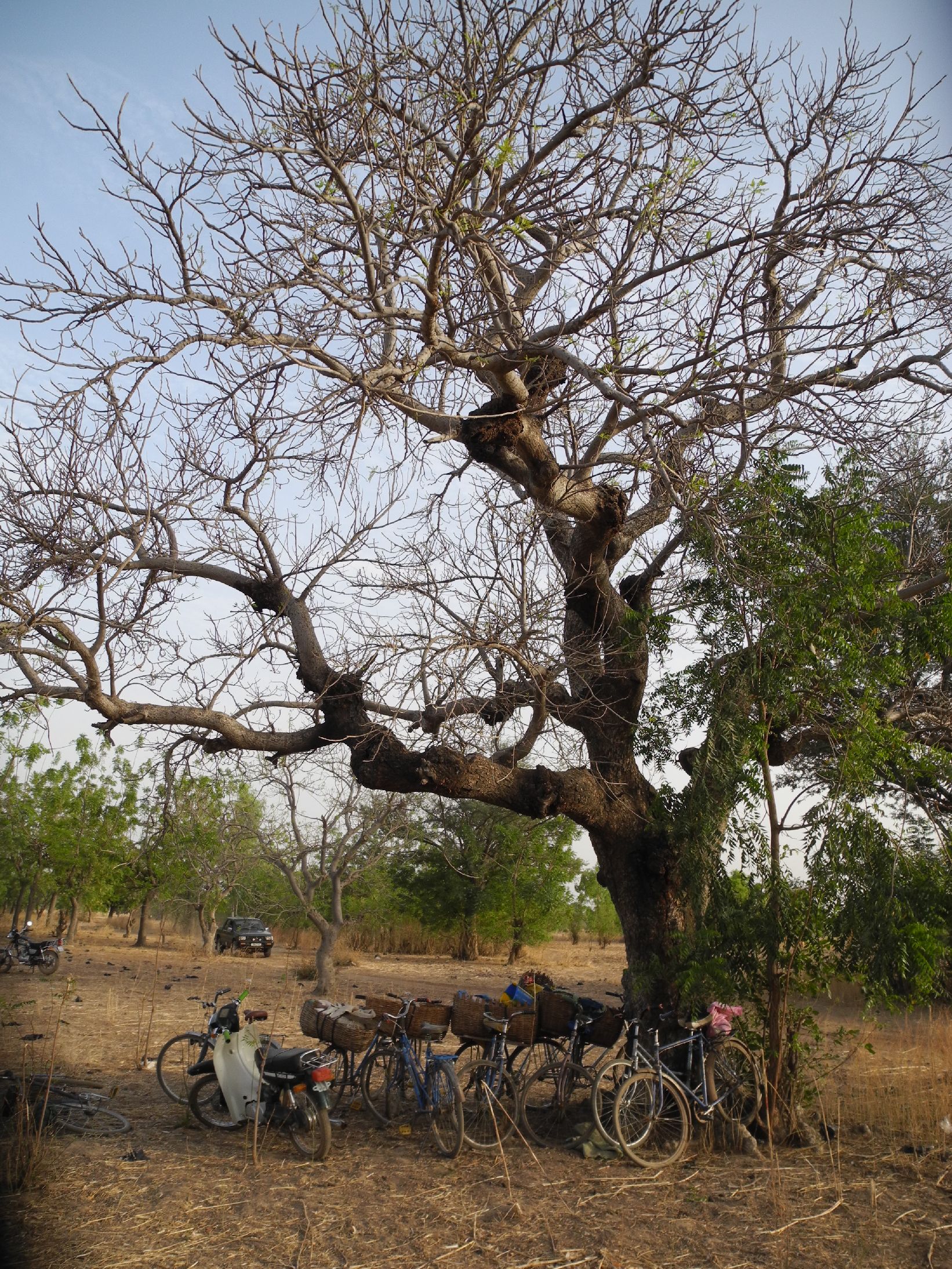 15. Imágenes de Burkina Faso