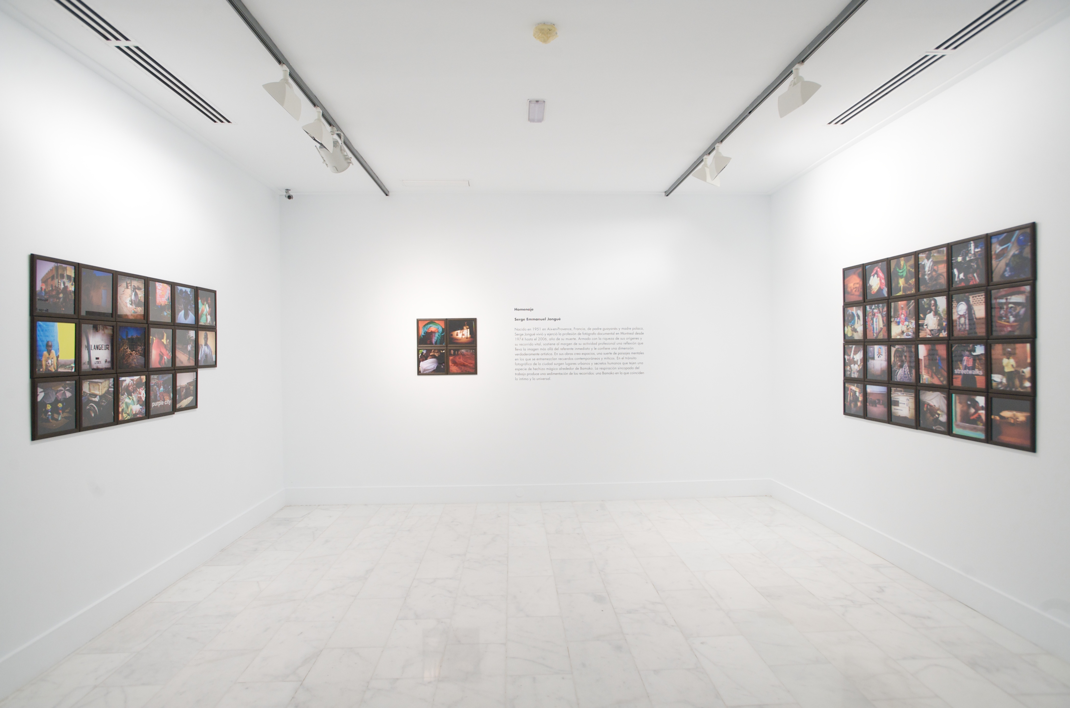 50. Exposición
