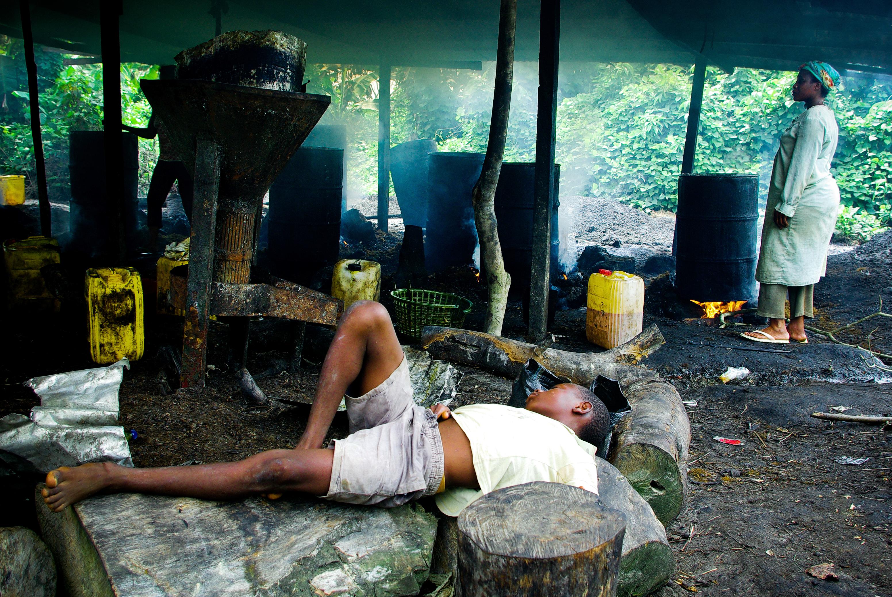 99. Rodrigue Mbock, série « Palm Oil » © Rodrigue Mbock -Album World Press-