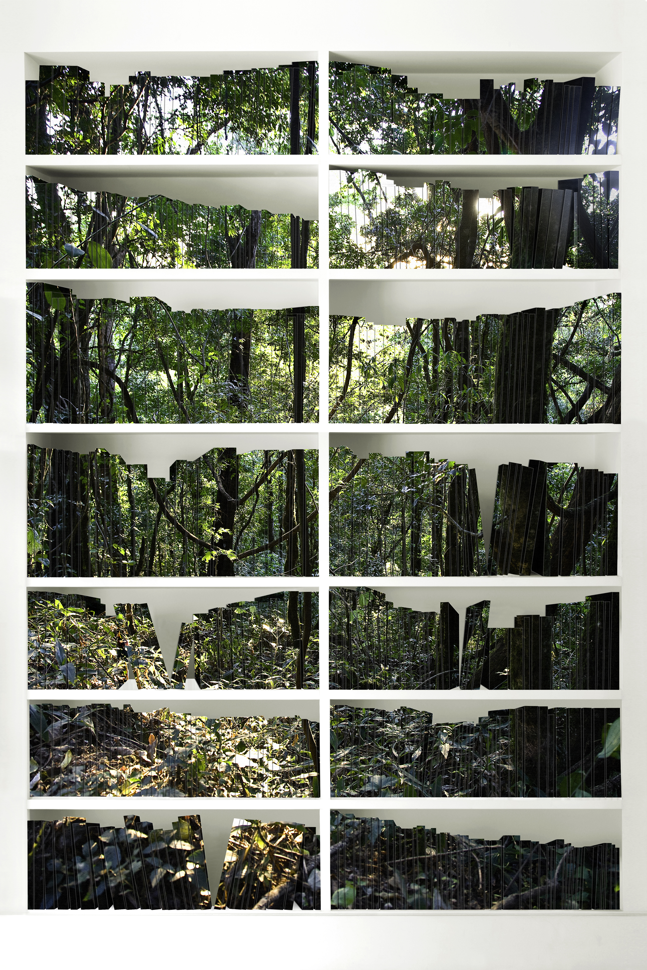 109. Claudia Jaguaribe, Bibliothèque II, série (Lorsque j’ai vu), 2007 © Claudia Jaguaribe –Album Rio-