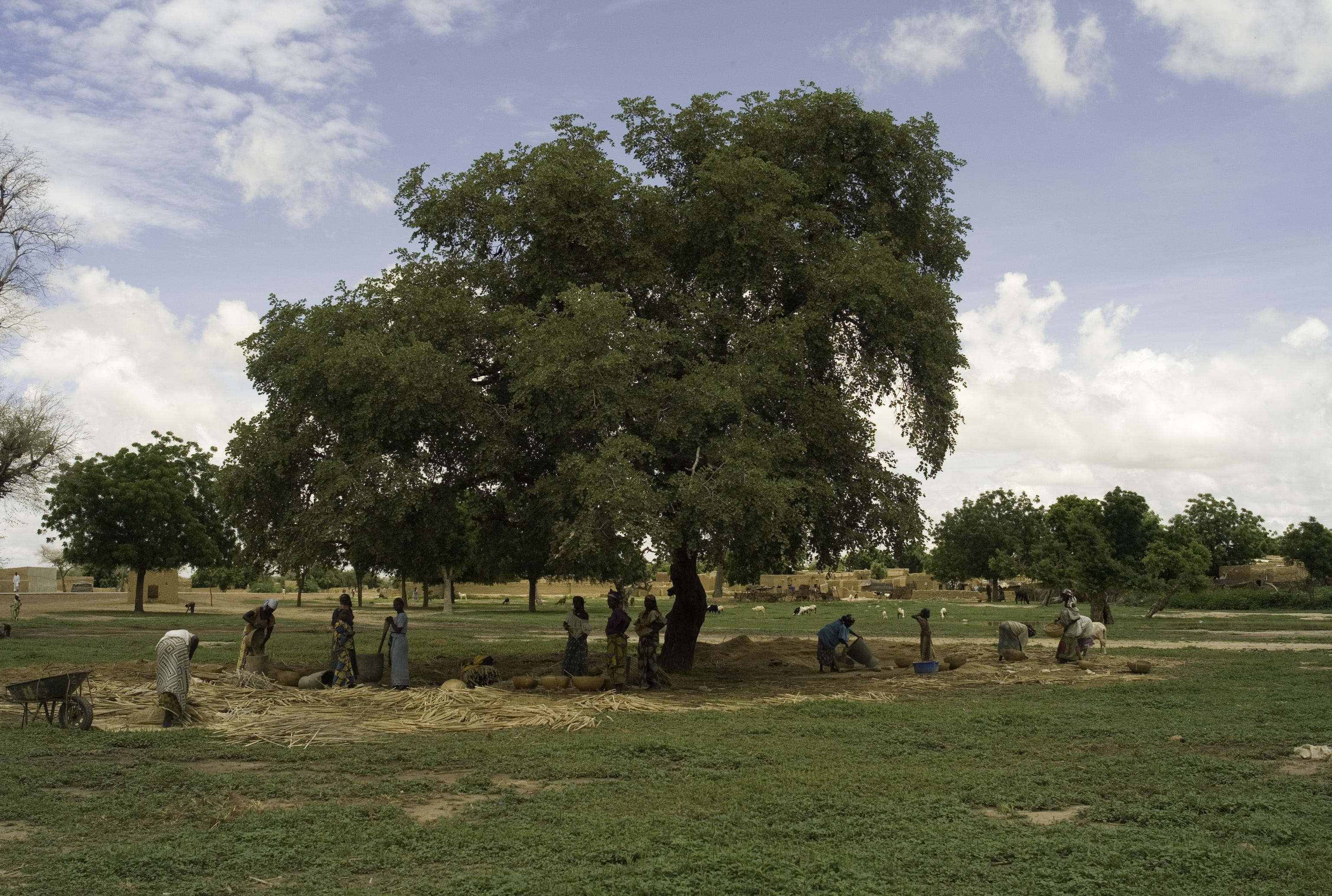 90.	Usos y costumbres, proyecto Soutoura de Ángel Luis Aldai, Casa África