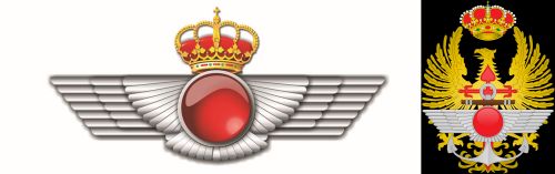 Ejército del aire