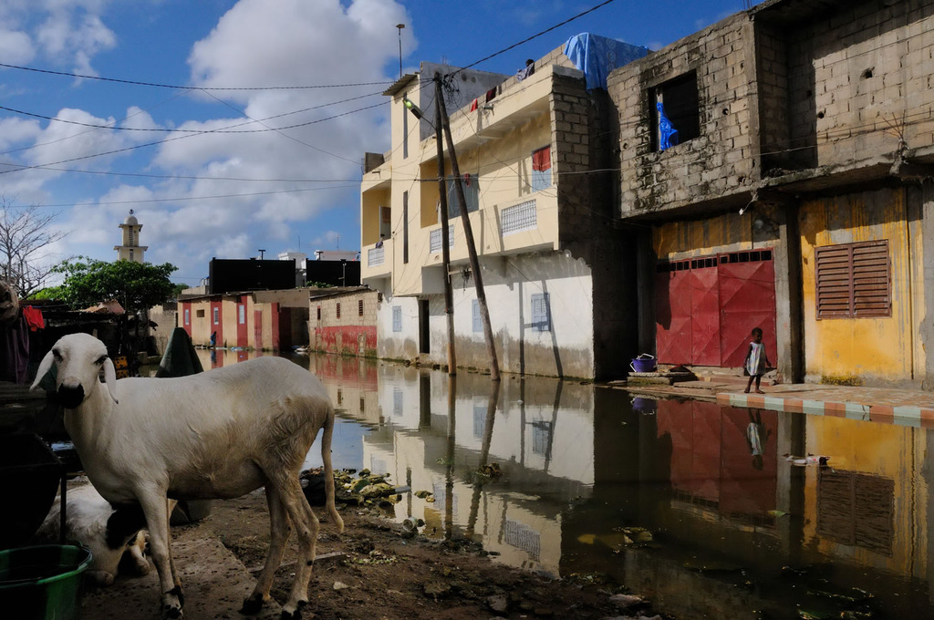 Elise Fitte Duval, premio Casa África 2011 de la Bienal de Fotografía de Bamako