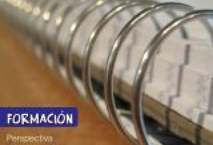 Formación: Curso Introductorio "Perspectivas de género de lo global a lo local"