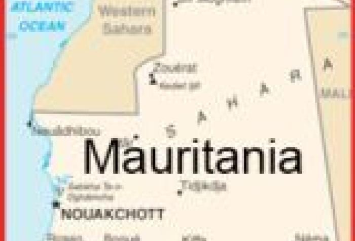 Misión Comercial a Mauritania