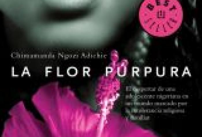 Club de Lectura Casa África con la obra 'La flor púrpura', de Chimamanda Ngozi