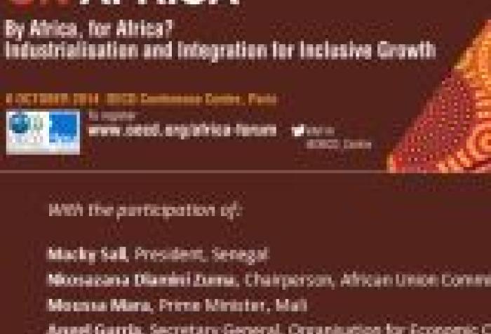 Foro África 2014 ¿Por África, para África?