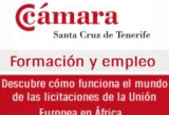 Descubre cómo funciona el mundo de las licitaciones de la Unión Europea en África