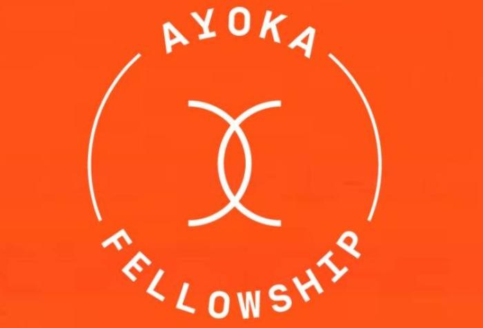 Ayoka Fellowship-Social Innovation Lab