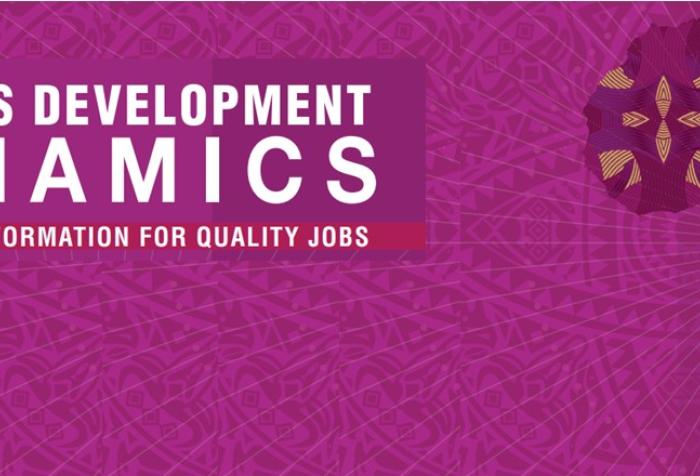 Dinámicas de Desarrollo de África 2021: transformación digital para empleos de calidad