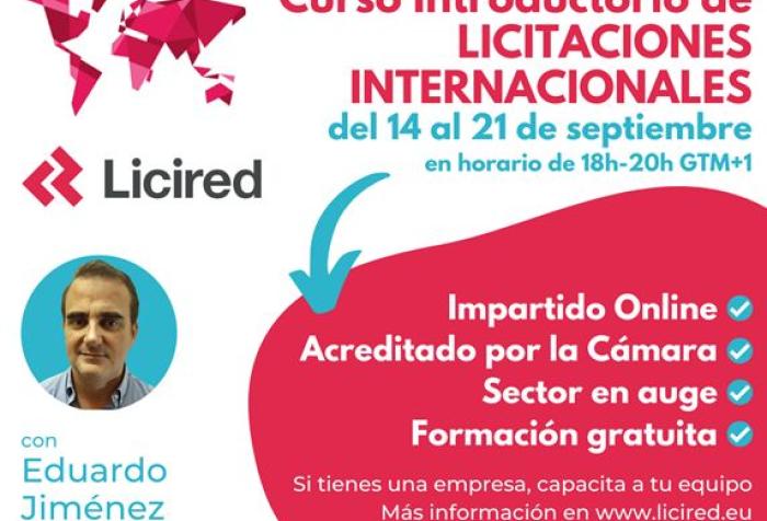 Curso Introductorio de Licitaciones Internacionales