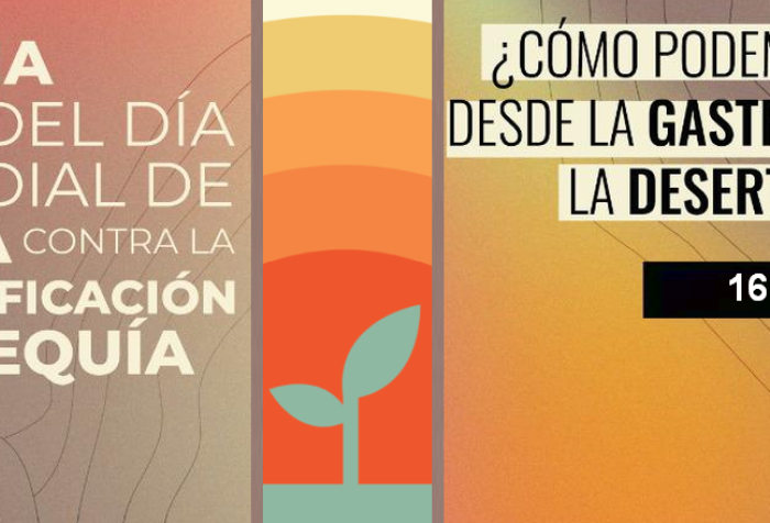 Día Mundial de la lucha contra la Desertificación y la sequía