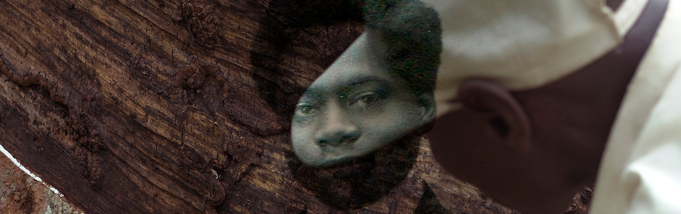 Proyección de «L’Arbre de l’authenticité», con Sammy Baloji