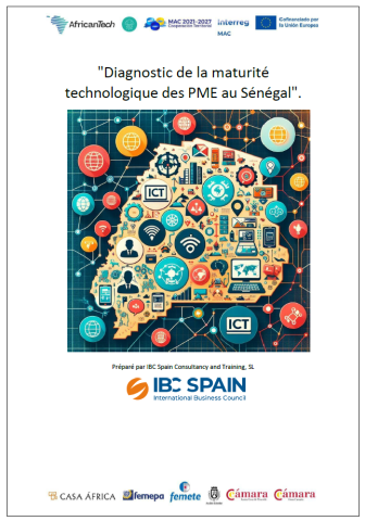 FEMEPA-Diagnostic de la maturité technologique des PME au Sénégal