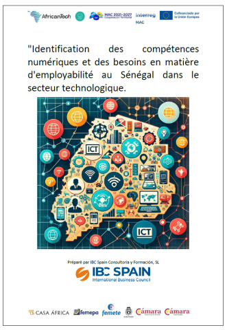 FEMEPA-Identification des compétences numériques et des besoins en matière d'employabilité au Sénégal dans le secteur technologique