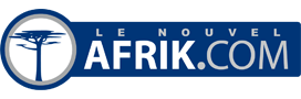 Afrik.com