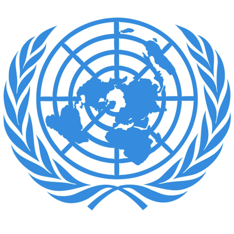 Naciones Unidas