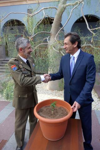 Un nuevo baobab para Casa África