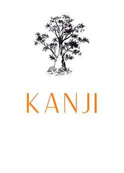 @kanji.codevelopment