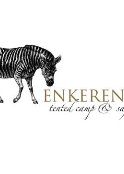 Enkerende Safaris