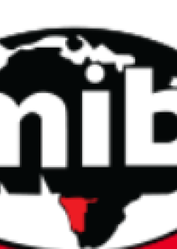 The Namibian