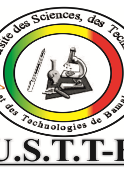 Université des sciences, des techniques et des technologies de Bamako