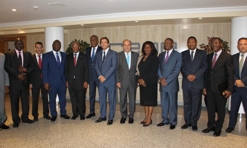 African Economic Outlook (AEO)