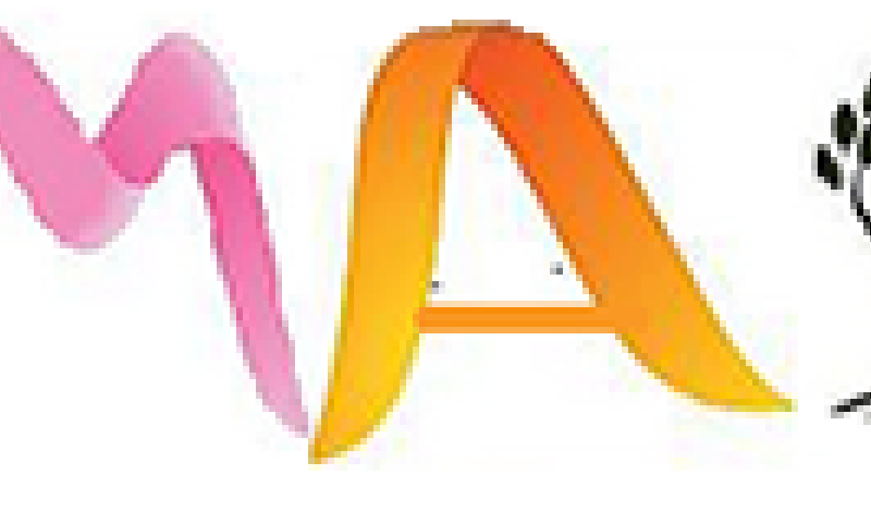 Asociación de Mujeres Africanas en Canarias (AMAC)
