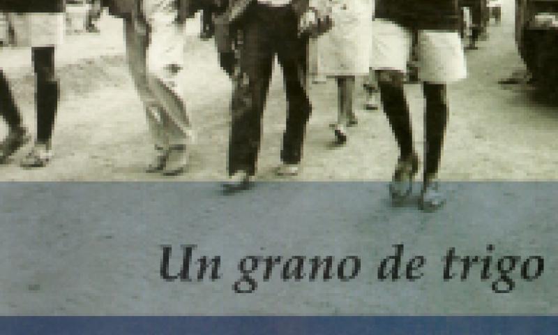 Un grano de trigo