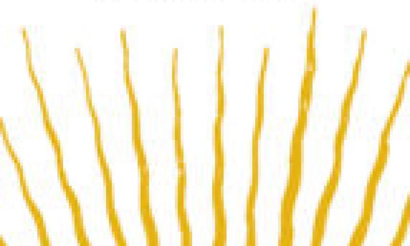 Medio sol amarillo