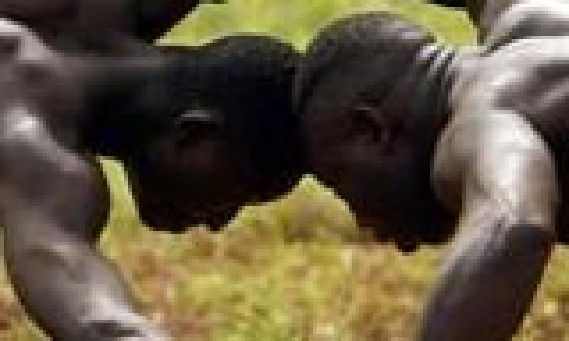 II Jornada de exhibición de lucha africana
