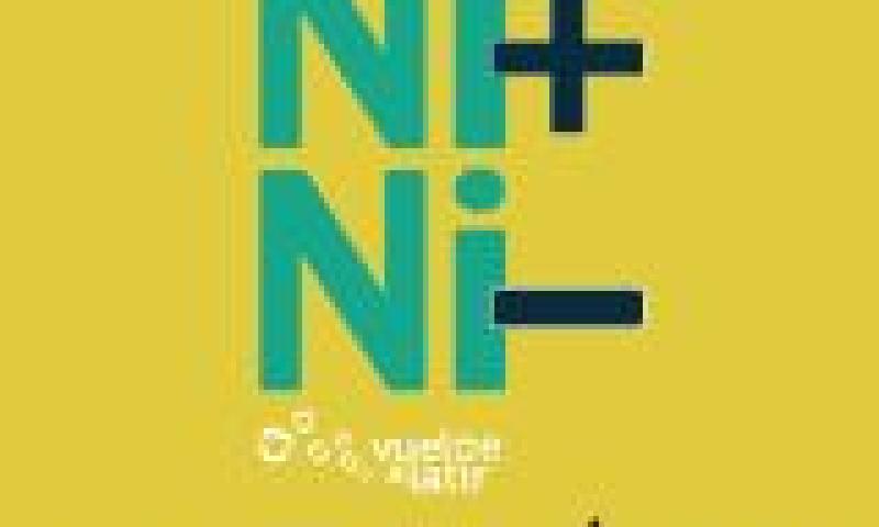 Arenales Ni+Ni-