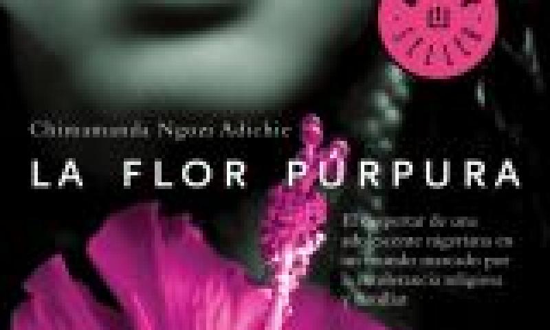 Club de Lectura Casa África con la obra 'La flor púrpura', de Chimamanda Ngozi