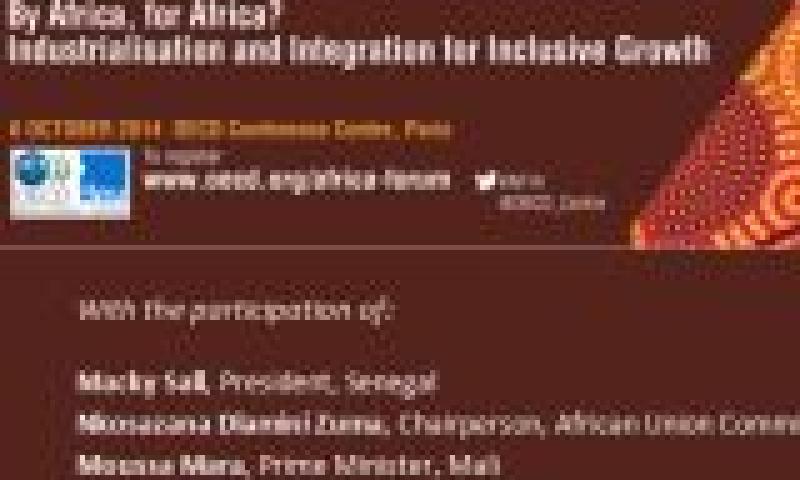 Foro África 2014 ¿Por África, para África?