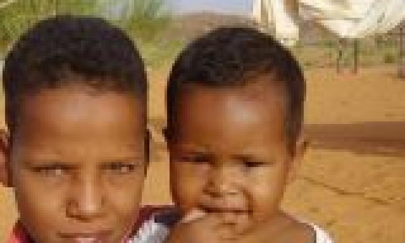 Seminario 20 años de la Convención de los Derechos del Niño: Seguimiento de la Aplicación de la CDN en África, América Latina y Asia