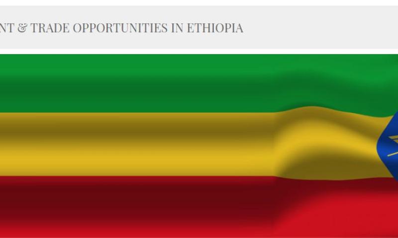 WEBINAR | INVESTMENT & TRADE OPPORTUNITIES IN ETHIOPIA