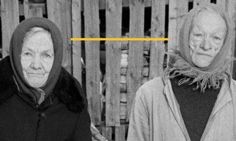 MiradasDoc 2024 | 17º Festival y Mercado Internacional de Cine Documental