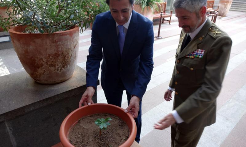 Un nuevo baobab para Casa África