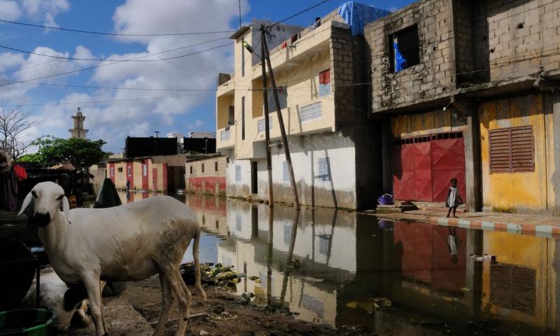 Elise Fitte Duval, premio Casa África 2011 de la Bienal de Fotografía de Bamako