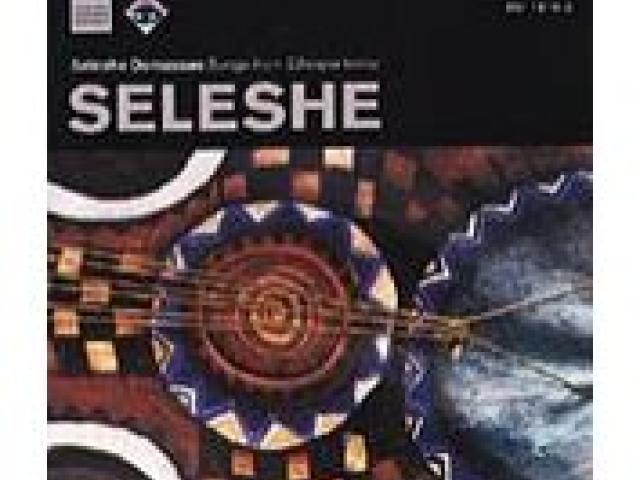 Seleshe : songs from Ethiopia today