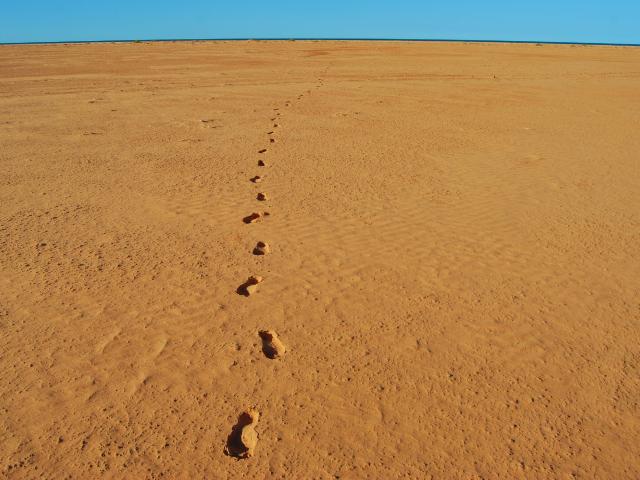 Las mil caras de Mauritania