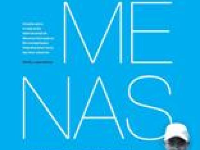 MENAS Estudio sobre la migración internacional de Menores Extranjeros No Acompañados Subsaharianos hacia las Islas Canarias : perfil y expectativas