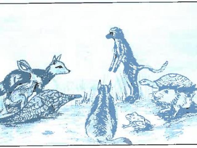 Cuentos de Zimbabwe. La liebre, la tortuga y otros animales