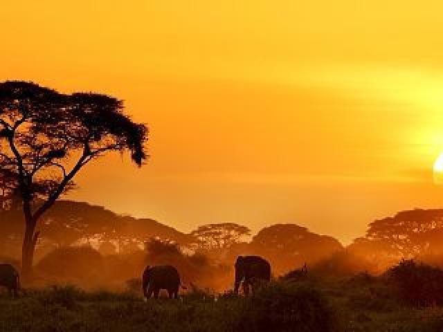 Contar África desde Europa