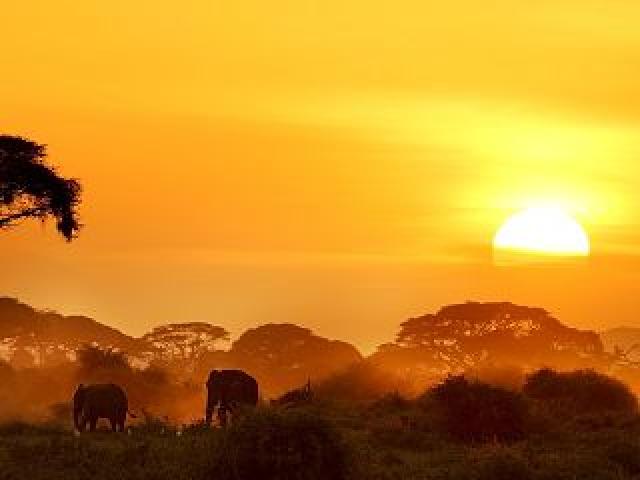 Un crecimiento sostenible para África